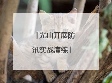 光山开展防汛实战演练