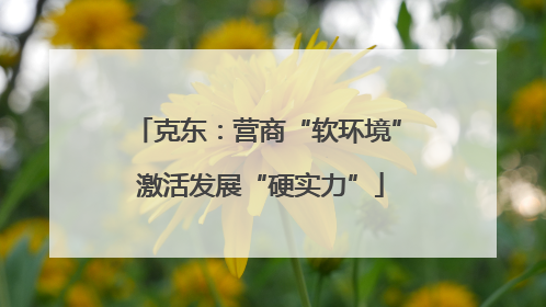 克东：营商“软环境” 激活发展“硬实力”