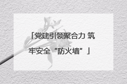 党建引领聚合力 筑牢安全“防火墙”