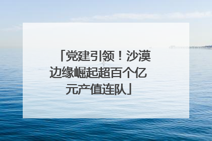 党建引领！沙漠边缘崛起超百个亿元产值连队