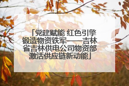 党建赋能 红色引擎锻造物资铁军——吉林省吉林供电公司物资部激活供应链新动能