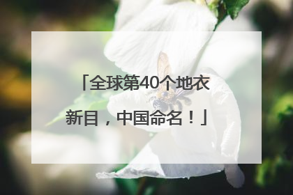 全球第40个地衣新目，中国命名！