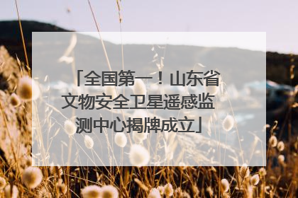 全国第一！山东省文物安全卫星遥感监测中心揭牌成立