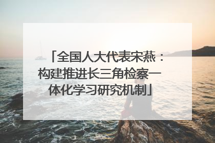 全国人大代表宋燕：构建推进长三角检察一体化学习研究机制