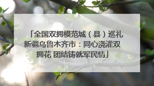 全国双拥模范城（县）巡礼新疆乌鲁木齐市：同心浇灌双拥花 团结铸就军民情