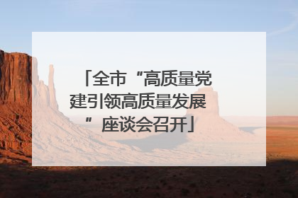 全市“高质量党建引领高质量发展”座谈会召开