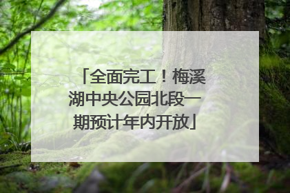全面完工！梅溪湖中央公园北段一期预计年内开放