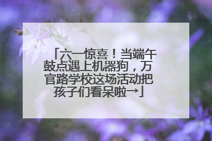 六一惊喜！当端午鼓点遇上机器狗，万官路学校这场活动把孩子们看呆啦→