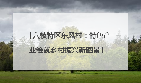 六枝特区东风村：特色产业绘就乡村振兴新图景