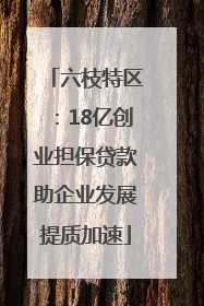 六枝特区：18亿创业担保贷款助企业发展提质加速
