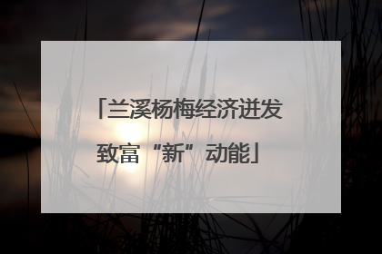 兰溪杨梅经济迸发致富“新”动能