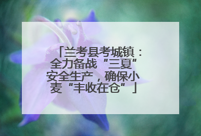 兰考县考城镇：全力备战“三夏”安全生产，确保小麦“丰收在仓”