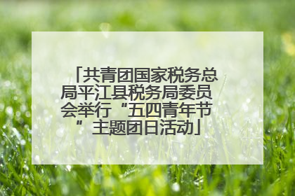 共青团国家税务总局平江县税务局委员会举行“五四青年节”主题团日活动