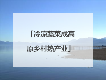 冷凉蔬菜成高原乡村热产业