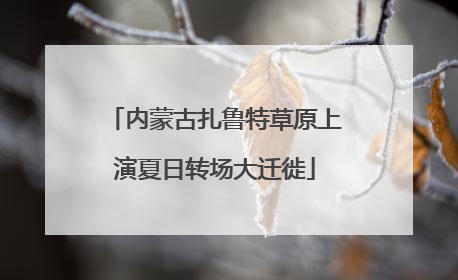 内蒙古扎鲁特草原上演夏日转场大迁徙