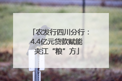 农发行四川分行：4.4亿元贷款赋能夹江“粮”方
