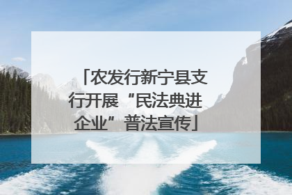 农发行新宁县支行开展“民法典进企业”普法宣传