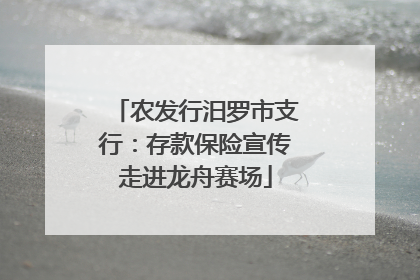 农发行汨罗市支行：存款保险宣传走进龙舟赛场