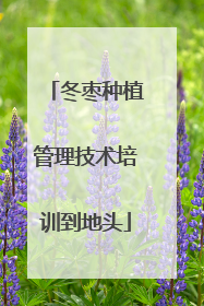 冬枣种植管理技术培训到地头