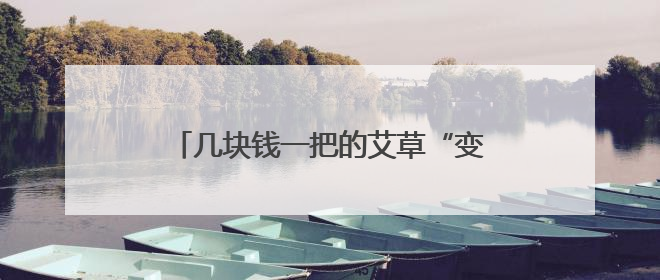 几块钱一把的艾草“变身”花束卖上百元，年轻人为“仪式感”买单