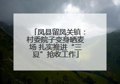 凤县留凤关镇：村委院子变身晒麦场 扎实推进“三夏”抢收工作