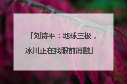 刘诗平：地球三极，冰川正在我眼前消融