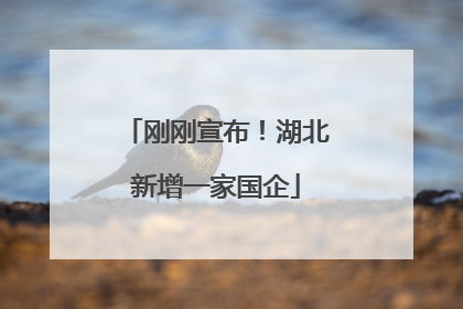 刚刚宣布！湖北新增一家国企