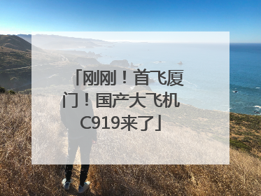 刚刚！首飞厦门！国产大飞机C919来了