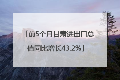 前5个月甘肃进出口总值同比增长43.2%