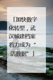 加快数字化转型，武汉城建档案着力成为“活数据”
