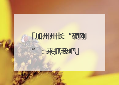 加州州长“硬刚”：来抓我吧