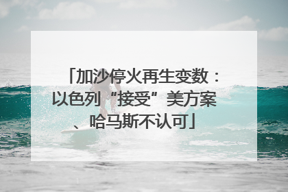 加沙停火再生变数：以色列“接受”美方案、哈马斯不认可