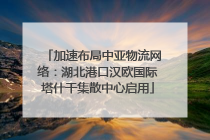 加速布局中亚物流网络：湖北港口汉欧国际塔什干集散中心启用