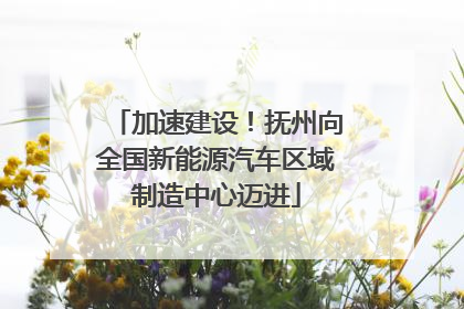 加速建设！抚州向全国新能源汽车区域制造中心迈进