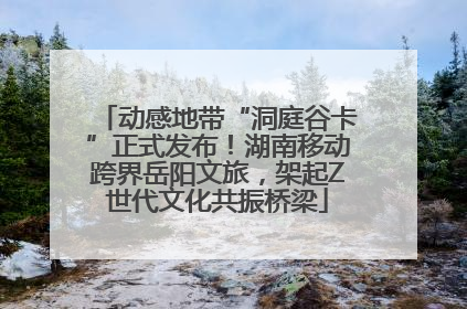 动感地带“洞庭谷卡”正式发布！湖南移动跨界岳阳文旅，架起Z世代文化共振桥梁