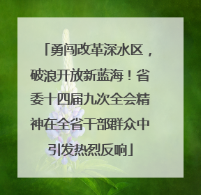 勇闯改革深水区，破浪开放新蓝海！省委十四届九次全会精神在全省干部群众中引发热烈反响