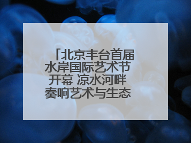 北京丰台首届水岸国际艺术节开幕 凉水河畔奏响艺术与生态 “交响曲”
