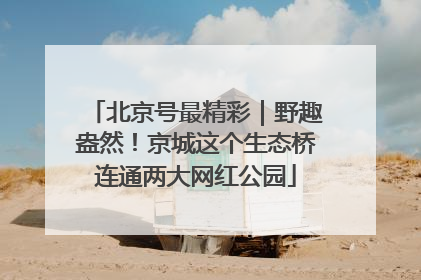 北京号最精彩｜野趣盎然！京城这个生态桥连通两大网红公园