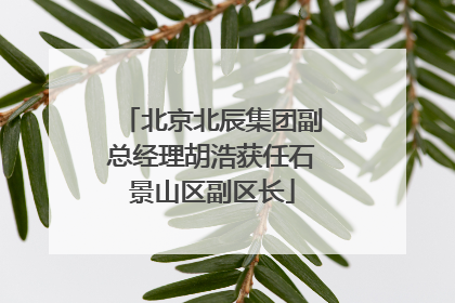北京北辰集团副总经理胡浩获任石景山区副区长