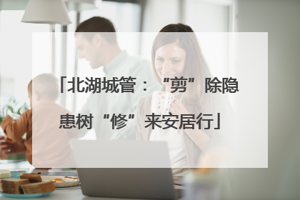 北湖城管：“剪”除隐患树“修”来安居行