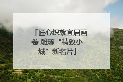 匠心织就宜居画卷 雕琢“精致小城”新名片