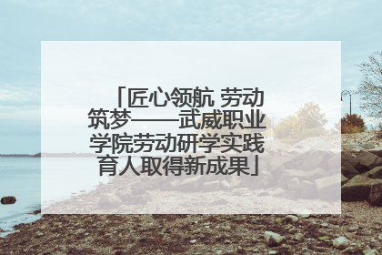 匠心领航 劳动筑梦——武威职业学院劳动研学实践育人取得新成果