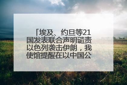 埃及、约旦等21国发表联合声明谴责以色列袭击伊朗，我使馆提醒在以中国公民尽快陆路离境