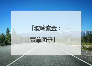 坡岭流金：萱草图景