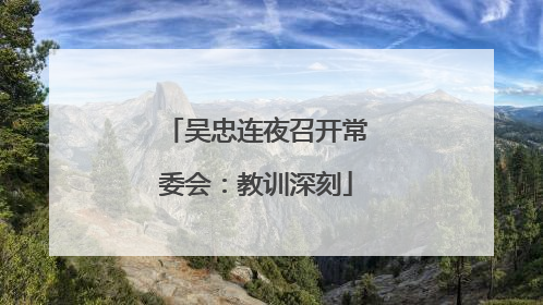 吴忠连夜召开常委会：教训深刻