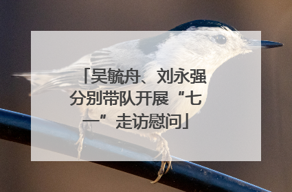 吴毓舟、刘永强分别带队开展“七一”走访慰问