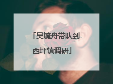 吴毓舟带队到西坪镇调研