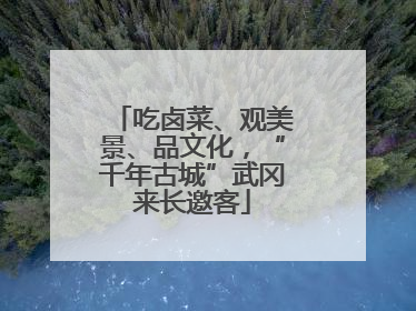 吃卤菜、观美景、品文化，“千年古城”武冈来长邀客