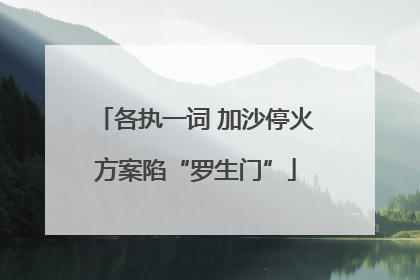 各执一词 加沙停火方案陷“罗生门”