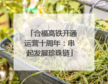 合福高铁开通运营十周年：串起发展珍珠链